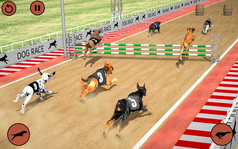 Cách Chơi Game Nhanh Đua Chó Tại 79King Chi Tiết Dành Cho Người Mới