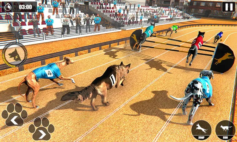 Cách Chơi Game Nhanh Đua Chó Tại 79King Chi Tiết Dành Cho Người Mới