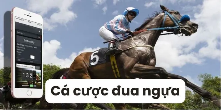Khám Phá Cá Cược Đua Ngựa 79King: Trải Nghiệm Giải Trí Đầy Kịch Tính Và Cơ Hội Thắng Lớn