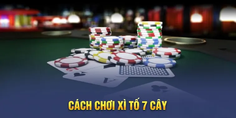 Trò Chơi Xì Tố Tại 79king – Sân Chơi Trí Tuệ Đỉnh Cao Dành Cho Cao Thủ Poker